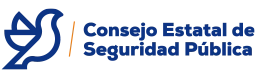 Logo Coordinación de Seguridad